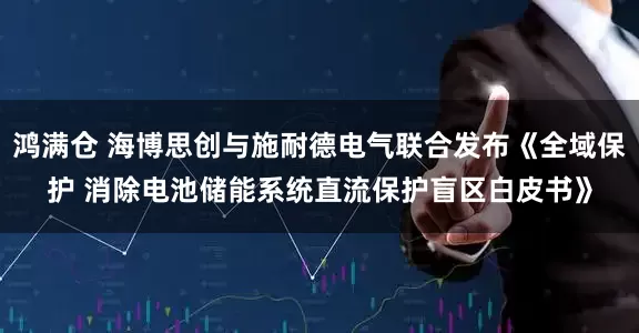 鸿满仓 海博思创与施耐德电气联合发布《全域保护 消除电池储能系统直流保护盲区白皮书》